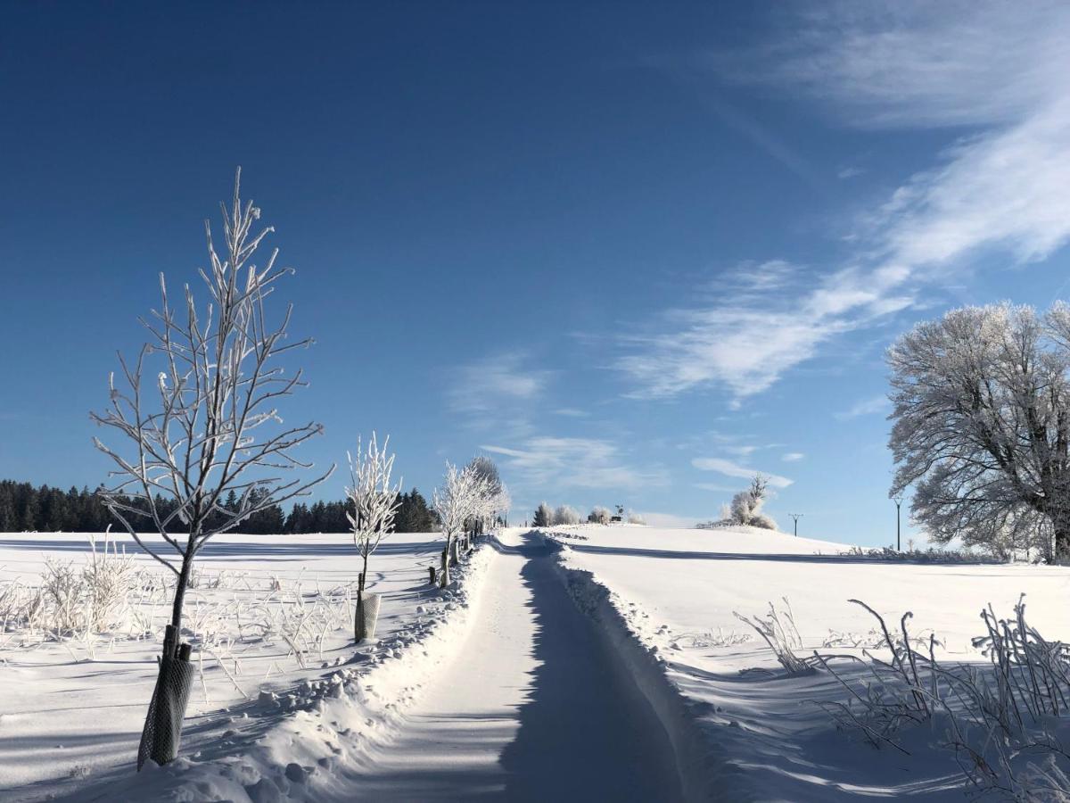 Отель Fontana Lipno Черна-в-Пошумави Экстерьер фото